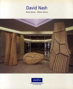 デイビッド・ナッシュ　David Nash: Black Below-White Above/のサムネール