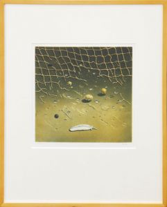 麻田浩版画額「羽と網」/Hiroshi Asadaのサムネール