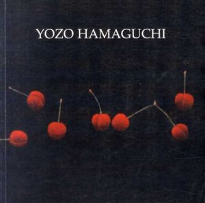 浜口陽三　Yozo Hamaguchi: Manieres noires/のサムネール