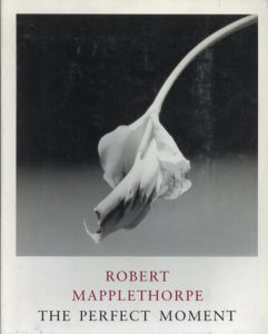 ロバート・メイプルソープ　Robert Mapplethorpe: The Perfect Moment/Janet Kardon/Robert Mapplethorpe/David Joselit/Kay Larsonのサムネール