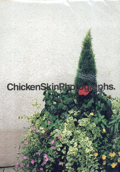 清野賀子写真集 Chicken Skin Photographs／清野賀子‹‹古書 古本 買取