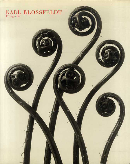 カール・ブロスフェルト写真集 Karl Blossfeldt: Fotografie／Ann