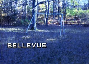 Bellevue: Landscape Photographs/エレン・フライス/大類信編　リチャード・プリンス表紙　ホンマタカシ/佐内正史/タグ・エイケン/ドミニク・ゴンザレス・フォースター他収録のサムネール