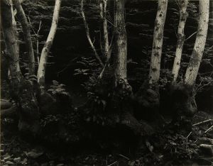 栗田紘一郎オリジナル・プリント「Woods.Wales」/Koichiro Kuritaのサムネール