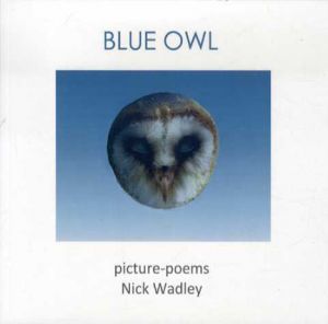 Blue Owl: Picture Poems/Nick Wadleyのサムネール
