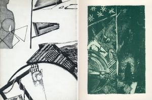 ジャスパー・ジョーンズ　Jasper Johns: The Seasons/ジャスパー・ジョーンズ