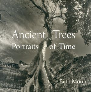 Ancient Trees: Portraits of Time/Beth Moon