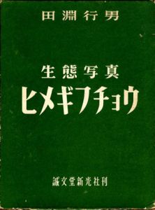 生態写真　ヒメギフチョウ/田淵行男のサムネール