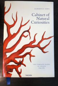 Albertus Seba: Cabinet of Natural Curiosities: The Complete Plates in Colour 1734-1765/のサムネール