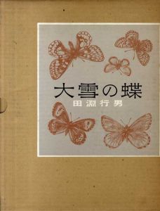 大雪の蝶/田淵行男のサムネール