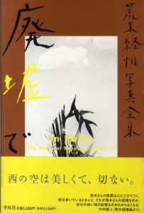 荒木経惟写真全集11　廃墟で/荒木経惟のサムネール