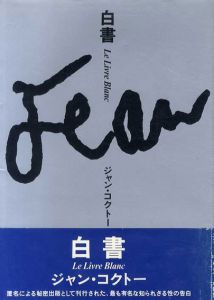 白書/ジャン・コクトー　山上昌子訳のサムネール