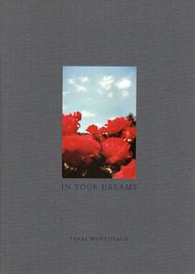 テリー・ワイフェンバック写真集　Terri Weifenbach: In Your Dreams/Robert Adamsのサムネール