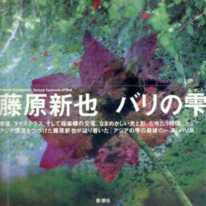 藤原新也写真集　バリの雫/藤原新也のサムネール