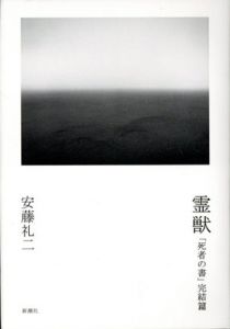 霊獣　「死者の書」完結篇/安藤礼二