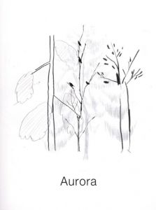 Aurora/Izumi Shiokawa/Noritake/Asami Hattori/HIMAAのサムネール