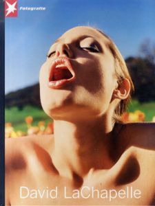 デビッド・ラシャペル写真集　David LaChapelle. Stern Fotografie Portfolio/David Lachapelleのサムネール