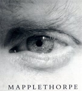 ロバート・メイプルソープ写真集　Mapplethorpe/Robert Mapplethorpe　Arthur C. Danto序論のサムネール