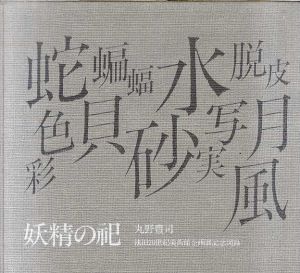 丸野豊司　妖精の祀　池田20世紀美術館企画展記念図録/丸野豊司のサムネール