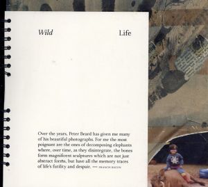 Wild Life: Francis Bacon and Peter Beard/フランシス・ベーコン/ピーター・ビアードのサムネール