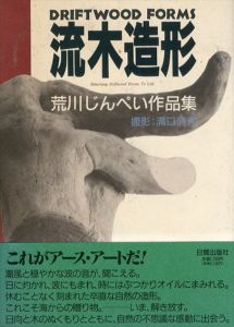 流木造形　荒川じんぺい作品集/荒川じんぺい　溝口清秀のサムネール