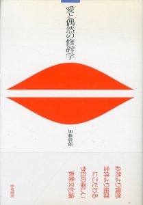 愛と偶然の修辞学/加藤幹雄のサムネール