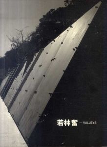 若林奮　Valleys/