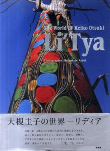 大槻圭子の世界　リディアテキスタイル作品集/大槻圭子のサムネール