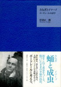 さなぎとイマーゴ　ボードレールの詩学/岩切正一郎のサムネール