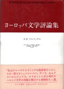 ヨーロッパ文学評論集/E.R. クルツィウス　川村二郎/高本研一/円子修平/小竹澄栄/松浦憲作訳のサムネール