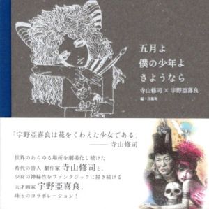 五月よ　僕の少年よ　さようなら/寺山修司詩・文　宇野亞喜良絵　目黒実編・選詩