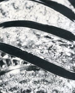 カルティエ、時の結晶　Cartier, Crystallization of Time/国立新美術館　のサムネール