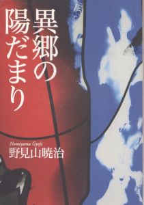 異郷の陽だまり/野見山暁治のサムネール