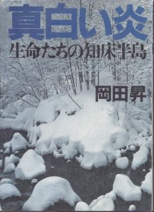 真白い炎: 生命たちの知床半島/岡田昇のサムネール